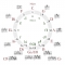 五度圈相关知识初步的介绍
