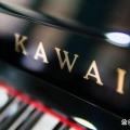 “KAWAI”与“K.KAWAI”的区别