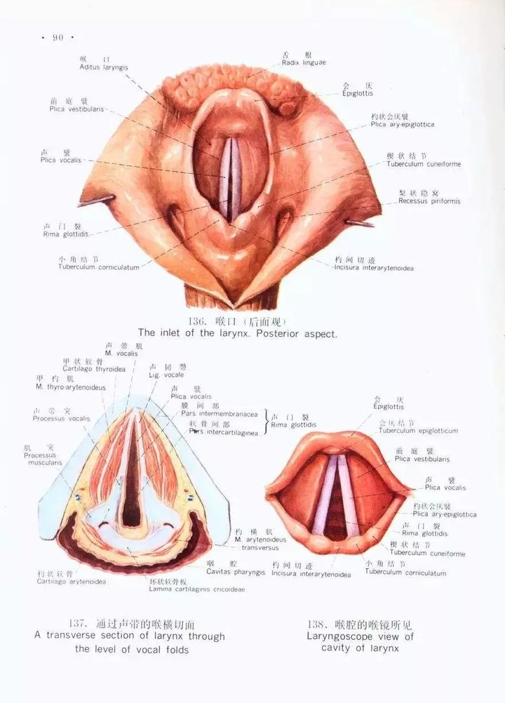 v2-fe2c7081e0977471d75adc02efb3623a_720w.jpg