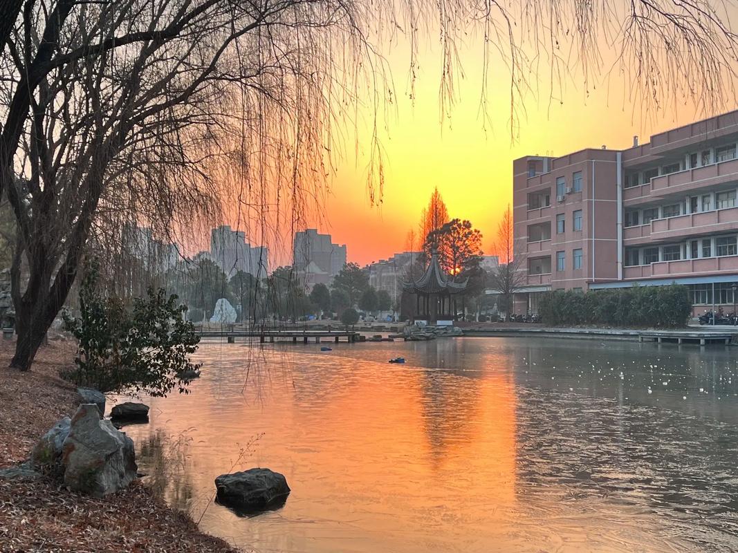 《校园的早晨》男女重唱 简谱